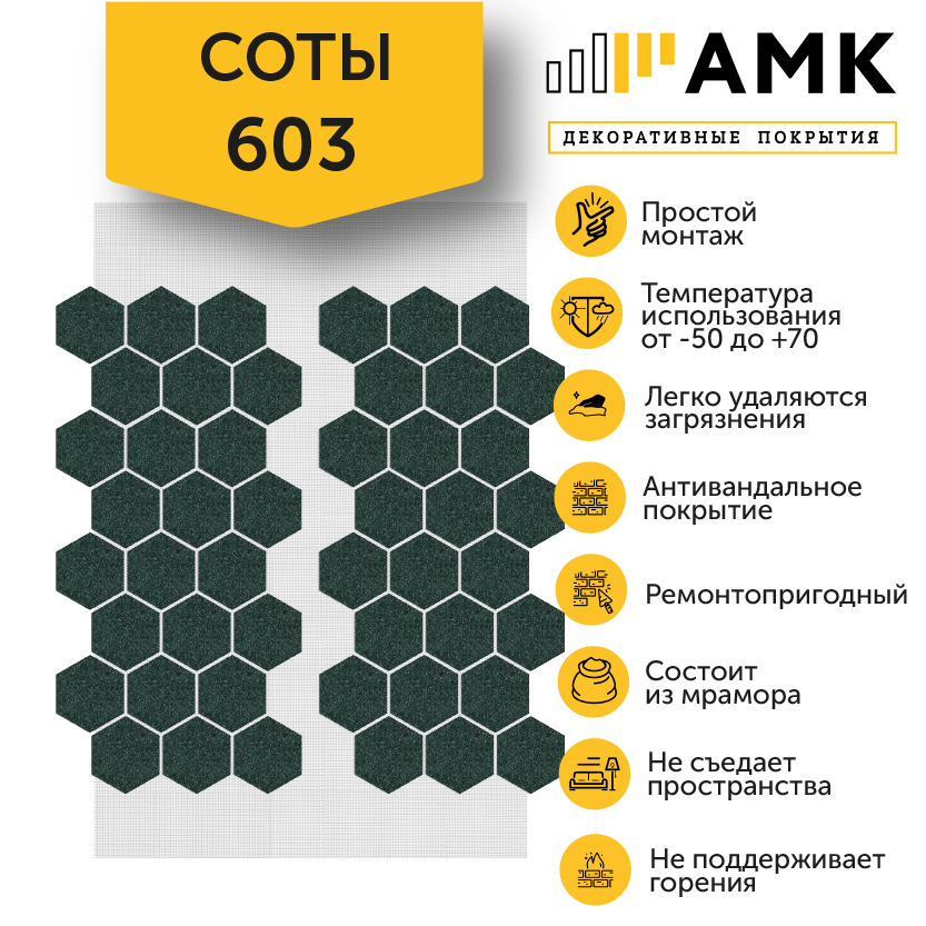 СОТЫ 603.jpg