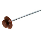 Гвозди для Еврошифера 100 шт коричневые